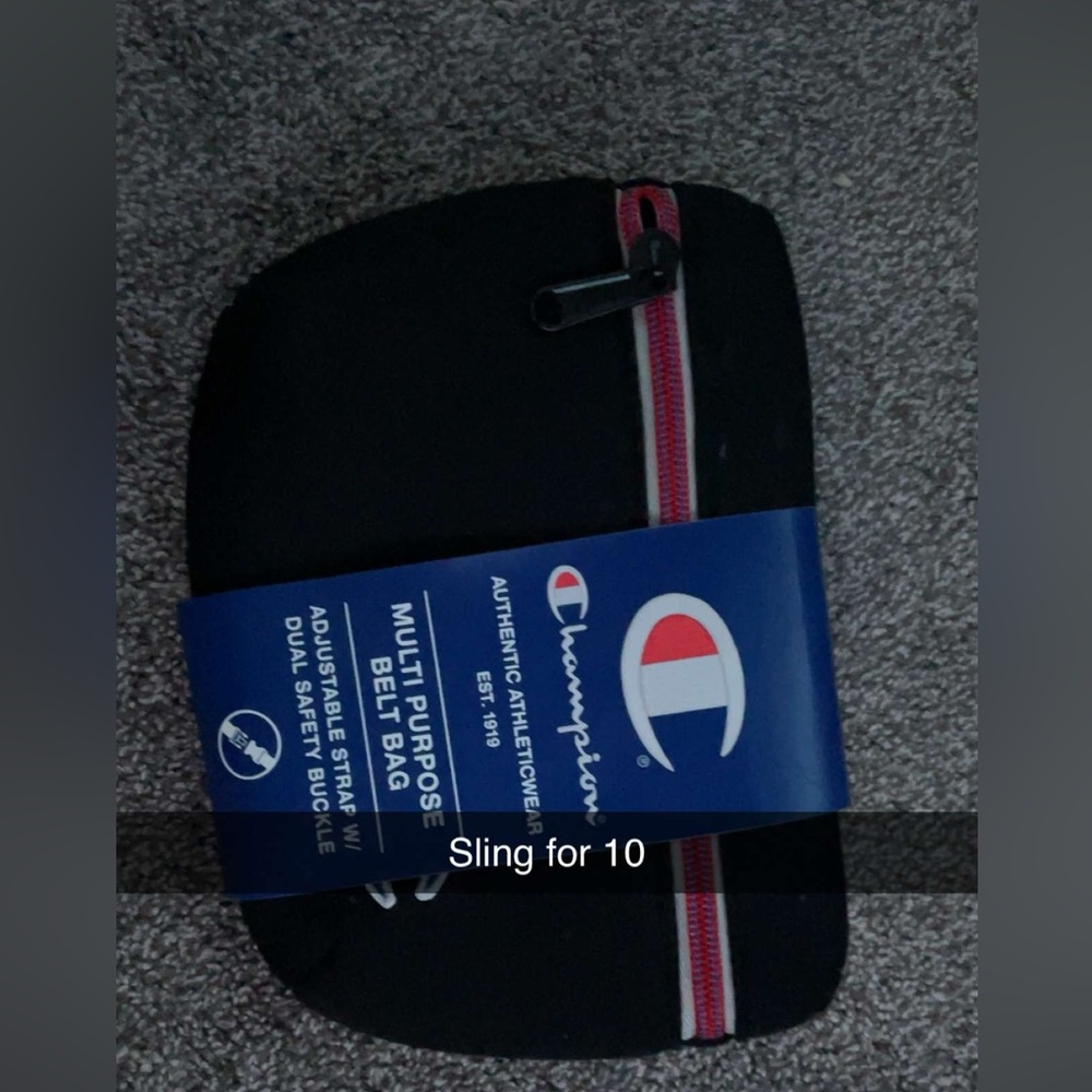 Champion Fanny pack